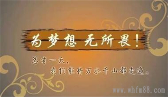 sunsine.net.cn