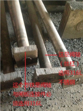 sunsine.net.cn