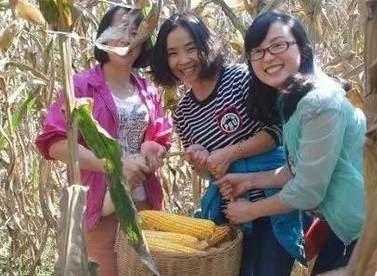 2.掰玉米人員25名，要求至少1年工作經(jīng)驗(yàn)，手腕有勁手指靈活，拉呱時(shí)候能不耽誤干活，皮糙肉厚者優(yōu)先：