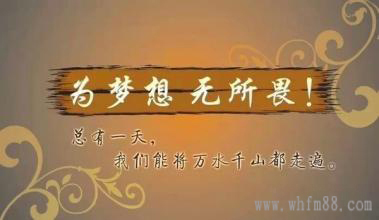 sunsine.net.cn
