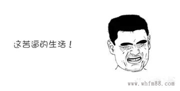 sunsine.net.cn
