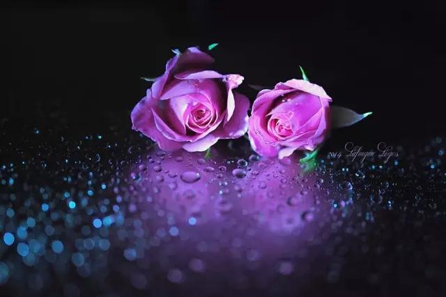 sunsine.net.cn